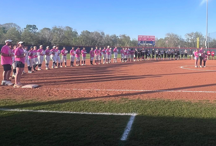 Clear Lake StrikeOut Cancer game brings out the community 