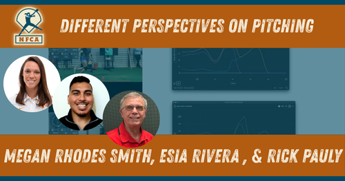 Different Perspectives on Pitching