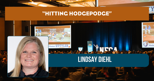 Hitting Hodgepodge - Lindsay Diehl